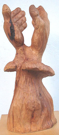 H�nde "Himmel" aus der Serie "mani naturae"