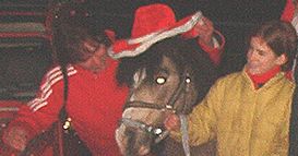 Pferd mit Weihnachtshut